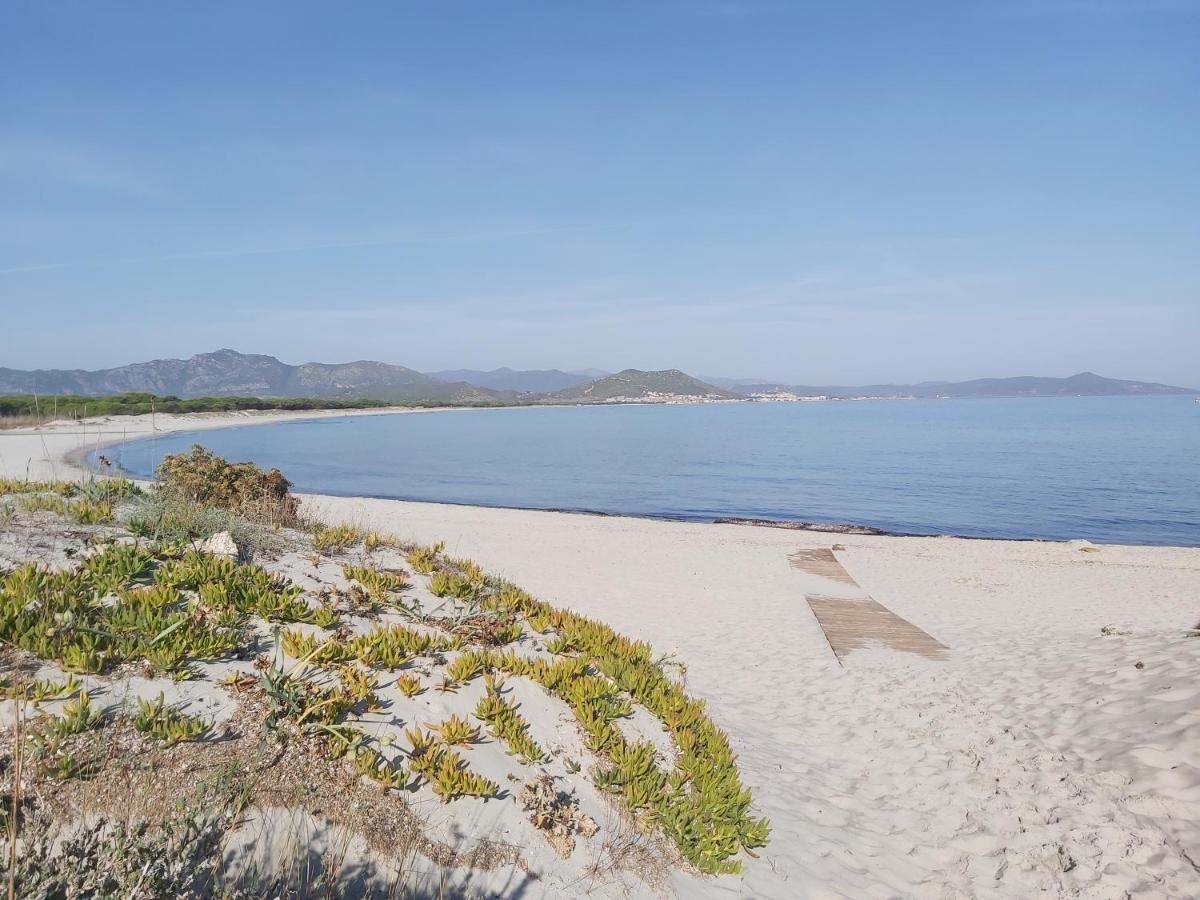L'appartamento sul borgo Santa Lucia  Esterno foto